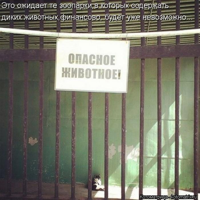 Это ожидает те зоопарки,в которых содержать диких животных,финансово, будет уже невозможно...... Котоматрица: Это ожидает те зоопарки,в которых содержать диких животных,финансово, будет уже невозможно...