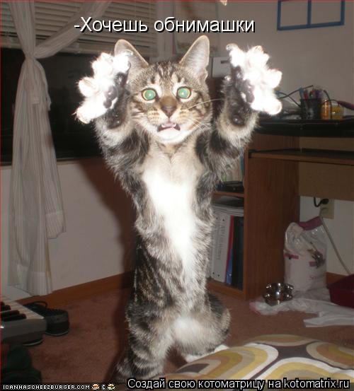 -Хочешь обнимашки... Котоматрица: -Хочешь обнимашки