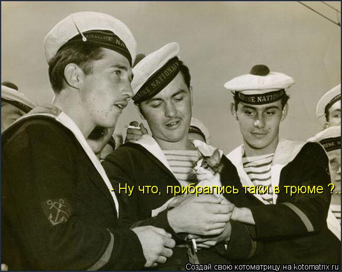 - Ну что, прибрались таки в трюме ?...... Котоматрица: - Ну что, прибрались таки в трюме ?...