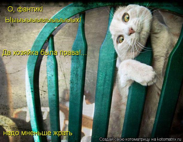 О, фантик! Ыыыыыыыыыыыыыых! Да хозяйка была права!... надо мненьше жрать... Котоматрица: О, фантик! Ыыыыыыыыыыыыыых! Да хозяйка была права!... надо мненьше жрать