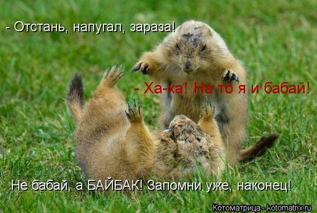 Не бабай, а БАЙБАК! Запомни уже, наконец! - Отстань, напугал, зараза! - Ха-ха! На то я и бабай!... Котоматрица: Не бабай, а БАЙБАК! Запомни уже, наконец! - Отстань, напугал, зараза! - Ха-ха! На то я и бабай!