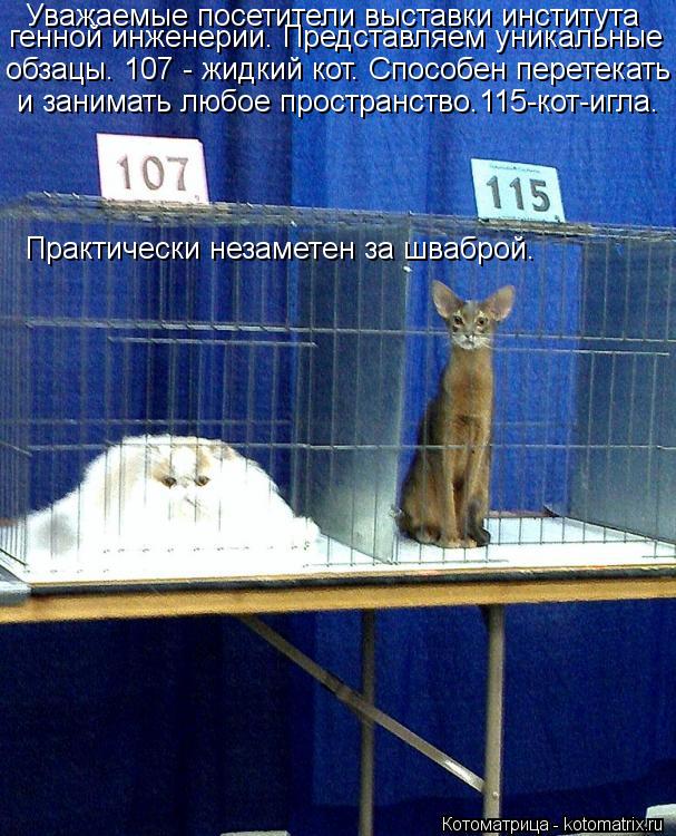 Уважаемые посетители выставки института генной инженерии. Представляем уникальные обзацы. 107 - жидк... Котоматрица: Уважаемые посетители выставки института генной инженерии. Представляем уникальные обзацы. 107 - жидкий кот. Способен перетекать и занимать