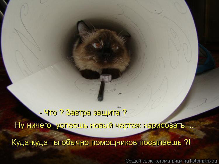- Что ? Завтра защита ? Ну ничего, успеешь новый чертеж нарисовать .... Куда-куда ты обычно помощнико... Котоматрица: - Что ? Завтра защита ? Ну ничего, успеешь новый чертеж нарисовать .... Куда-куда ты обычно помощников посылаешь ?!