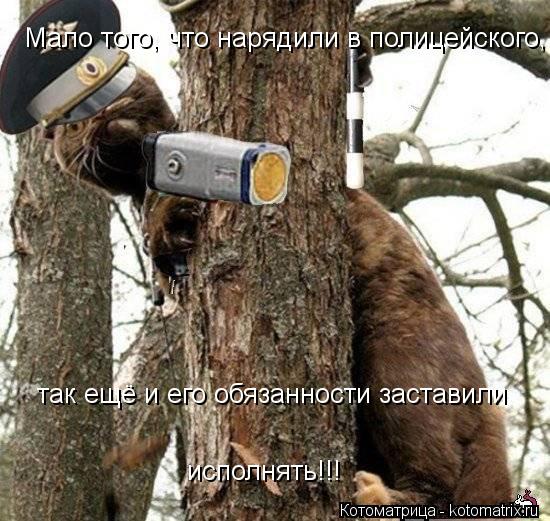 Мало того, что нарядили в полицейского, так ещё и его обязанности заставили исполнять!!!... Котоматрица: Мало того, что нарядили в полицейского, так ещё и его обязанности заставили исполнять!!!