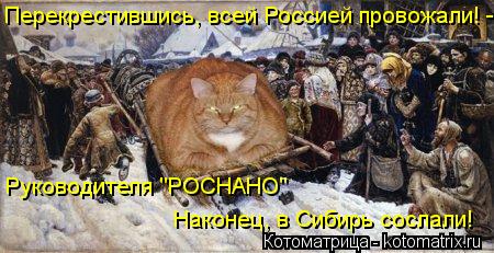 Перекрестившись, всей Россией провожали! - Руководителя "РОСНАНО" Наконец, в Сибирь сослали!... Котоматрица: Перекрестившись, всей Россией провожали! - Руководителя "РОСНАНО" Наконец, в Сибирь сослали!