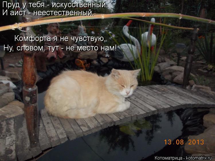 Пруд у тебя - искусственный И аист - неестественный. Комфорта я не чувствую, Ну, словом, тут - не мес... Котоматрица: Пруд у тебя - искусственный И аист - неестественный. Комфорта я не чувствую, Ну, словом, тут - не место нам!