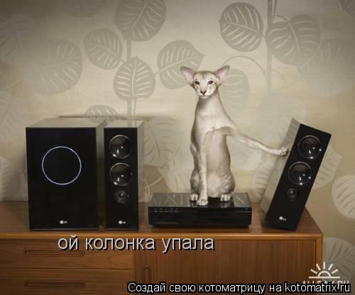 ой колонка упала... Котоматрица: ой колонка упала