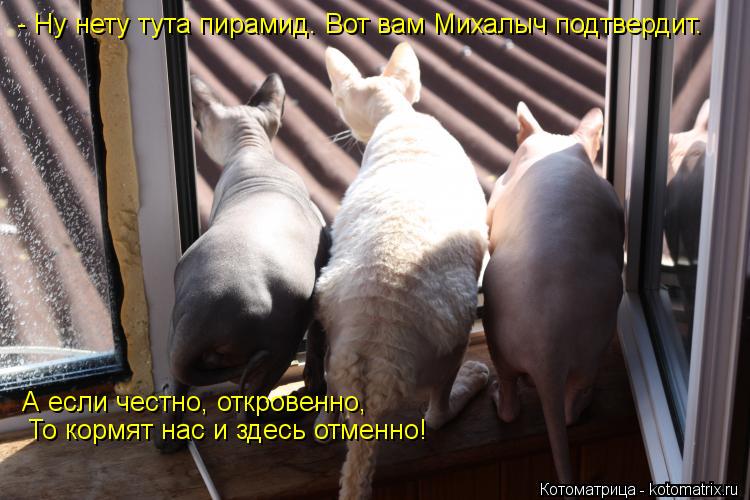 - Ну нету тута пирамид. Вот вам Михалыч подтвердит. А если честно, откровенно, То кормят нас и здес... Котоматрица: - Ну нету тута пирамид. Вот вам Михалыч подтвердит. А если честно, откровенно, То кормят нас и здесь отменно!