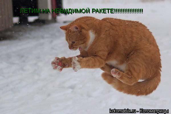 ЛЕТИМ НА НЕВИДИМОЙ ЛЕТИМ НА НЕВИДИМОЙ РАКЕТЕ!!!!!!!!!!!!!!!!!... Котоматрица: ЛЕТИМ НА НЕВИДИМОЙ ЛЕТИМ НА НЕВИДИМОЙ РАКЕТЕ!!!!!!!!!!!!!!!!!