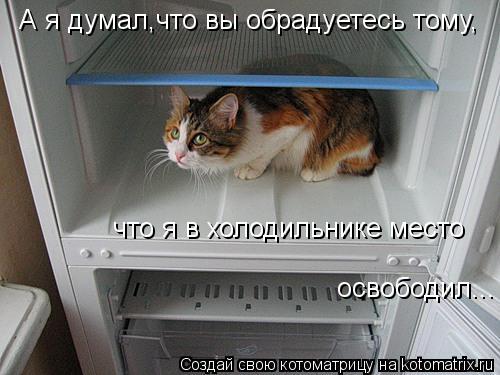 А я думал,что вы обрадуетесь тому, что я в холодильнике место освободил...... Котоматрица: А я думал,что вы обрадуетесь тому, что я в холодильнике место освободил...