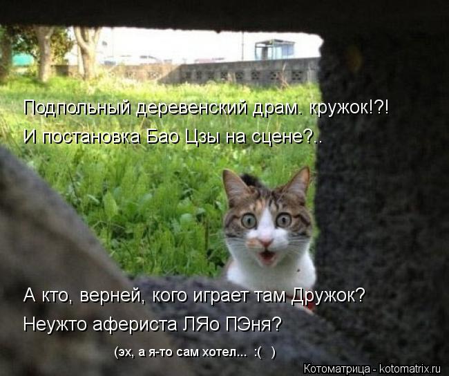 Подпольный деревенский драм. кружок!?! И постановка Бао Цзы на сцене?.. А кто, верней, кого играет та... Котоматрица: Подпольный деревенский драм. кружок!?! И постановка Бао Цзы на сцене?.. А кто, верней, кого играет там Дружок? Неужто афериста ЛЯо ПЭня? (эх, а я-