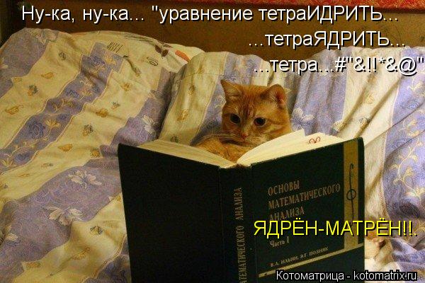 Ну-ка, ну-ка... "уравнение тетраИДРИТЬ... ...тетраЯДРИТЬ... ...тетра...#"&!!*&@" ЯДРЁН-МАТРЁН!!.... Котоматрица: Ну-ка, ну-ка... "уравнение тетраИДРИТЬ... ...тетраЯДРИТЬ... ...тетра...#"&!!*&@" ЯДРЁН-МАТРЁН!!.