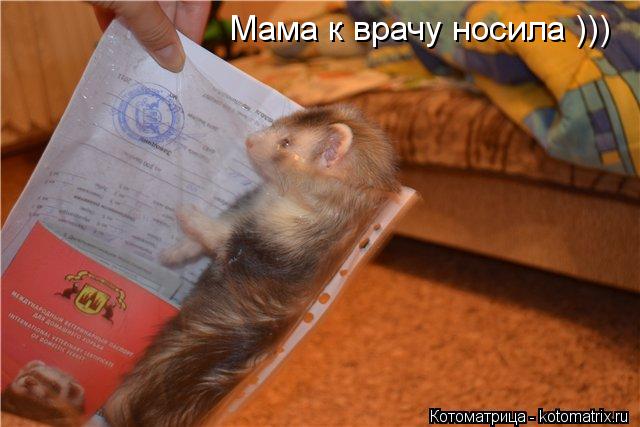 Мама к врачу носила )))... Котоматрица: Мама к врачу носила )))