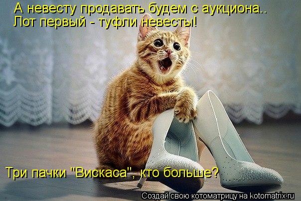 А невесту продавать будем с аукциона.. Лот первый - туфли невесты! Три пачки "Вискаса", кто больше?... Котоматрица: А невесту продавать будем с аукциона.. Лот первый - туфли невесты! Три пачки "Вискаса", кто больше?