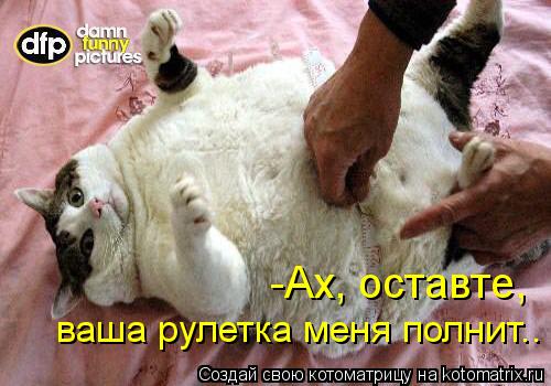 -Ах, оставте, ваша рулетка меня полнит..... Котоматрица: -Ах, оставте, ваша рулетка меня полнит..