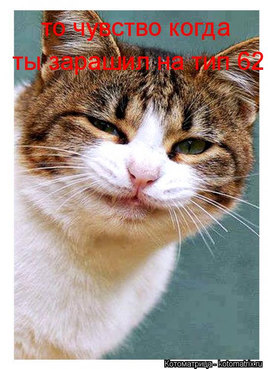 то чувство когда зарашил то чувство когда ты зарашил на тип 62... Котоматрица: то чувство когда зарашил то чувство когда ты зарашил на тип 62
