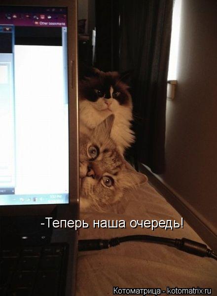 -Теперь наша очередь!... Котоматрица: -Теперь наша очередь!