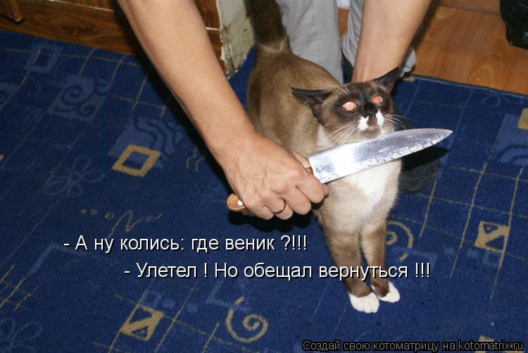 - А ну колись: где веник ?!!! - Улетел ! Но обещал вернуться !!!... Котоматрица: - А ну колись: где веник ?!!! - Улетел ! Но обещал вернуться !!!