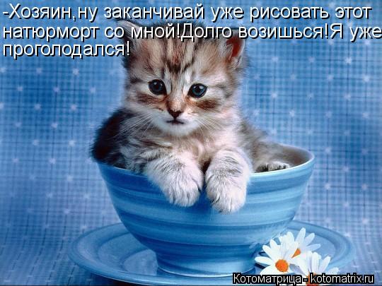 -Хозяин,ну заканчивай уже рисовать этот натюрморт со мной!Долго возишься!Я уже проголодался!... Котоматрица: -Хозяин,ну заканчивай уже рисовать этот натюрморт со мной!Долго возишься!Я уже проголодался!