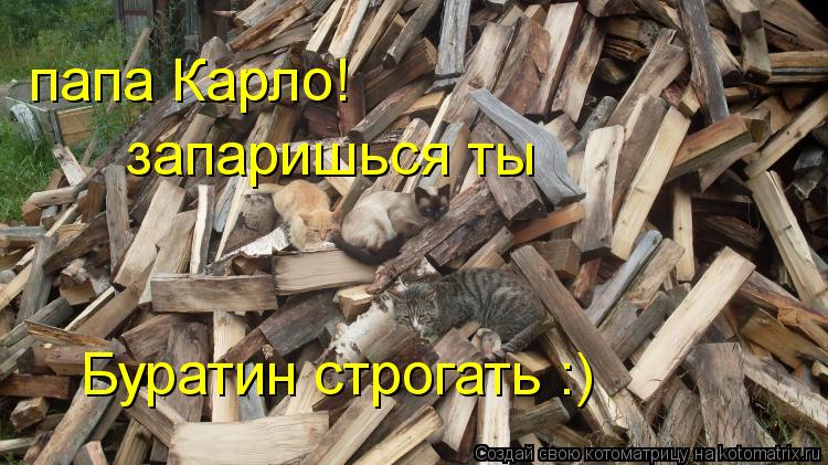 папа Карло! запаришься ты Буратин строгать :)... Котоматрица: папа Карло! запаришься ты Буратин строгать :)