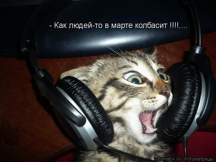 - Как людей-то в марте колбасит !!!!....... Котоматрица: - Как людей-то в марте колбасит !!!!....