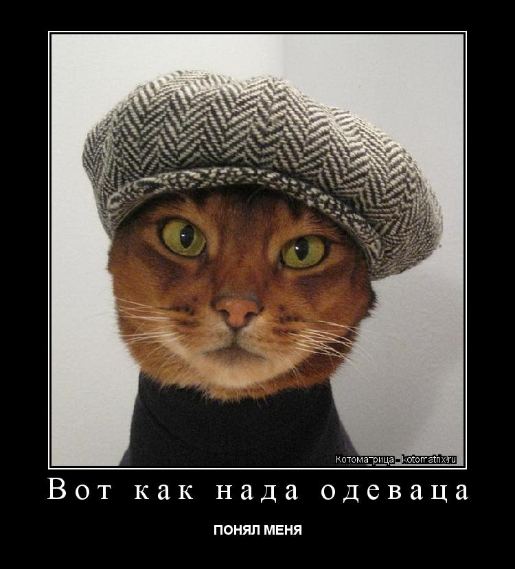 Вот как нада одеваца ПОНЯЛ МЕНЯ... Котоматрица: Вот как нада одеваца ПОНЯЛ МЕНЯ
