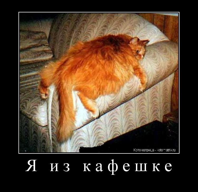 Я из кафешке ... Котоматрица: Я из кафешке