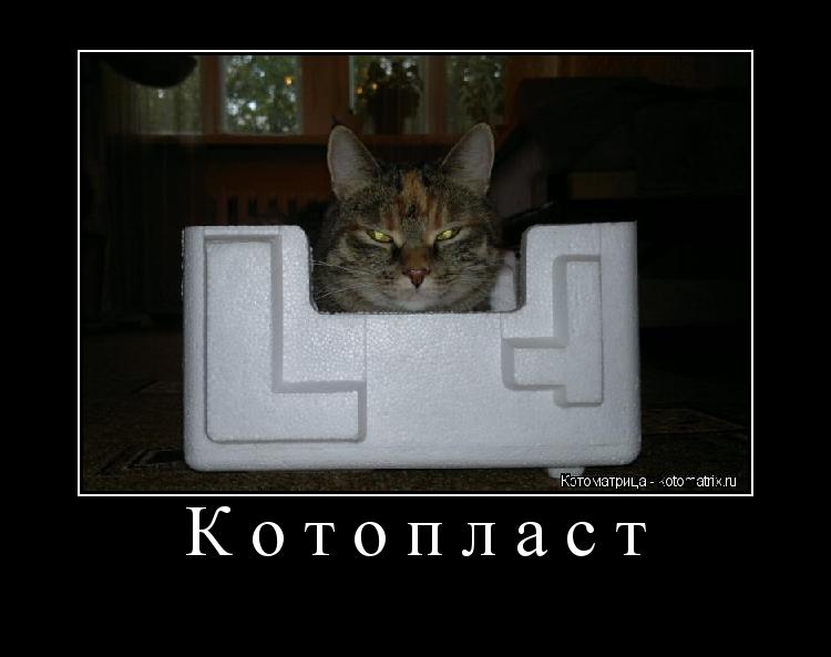 Котопласт ... Котоматрица: Котопласт