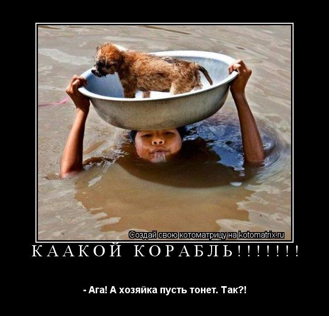 Котоматрица: КААКОЙ КОРАБЛЬ!!!!!!! - Ага! А хозяйка пусть тонет. Так?!