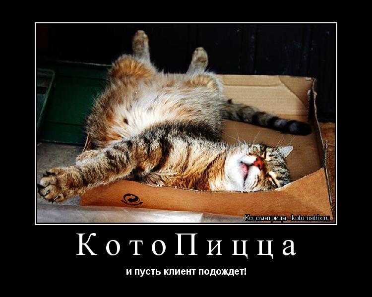 КотоПицца и пусть клиент подождет!... Котоматрица: КотоПицца и пусть клиент подождет!