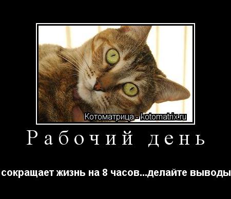 Рабочий день сокращает жизнь на 8 часов...делайте выводы... Котоматрица: Рабочий день сокращает жизнь на 8 часов...делайте выводы
