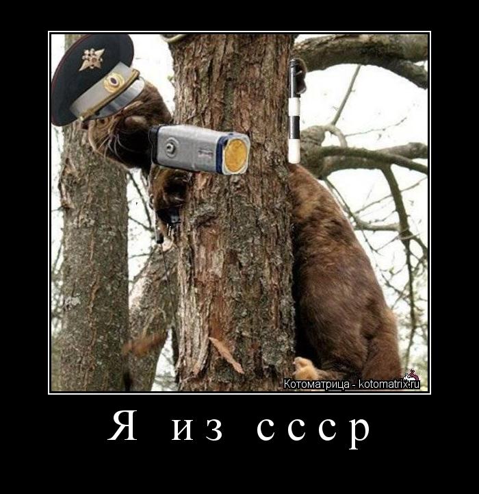 Я из ссср ... Котоматрица: Я из ссср