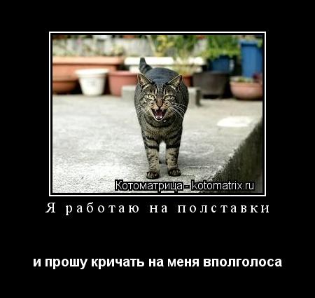 Я работаю на полставки и прошу кричать на меня вполголоса... Котоматрица: Я работаю на полставки и прошу кричать на меня вполголоса