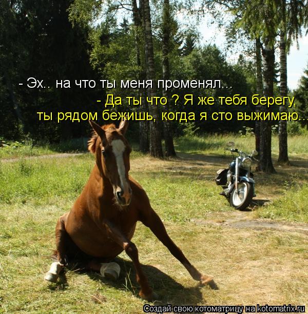 - Эх.. на что ты меня променял... - Да ты что ? Я же тебя берегу, ты рядом бежишь, когда я сто выжим... Котоматрица: - Эх.. на что ты меня променял... - Да ты что ? Я же тебя берегу, ты рядом бежишь, когда я сто выжимаю...