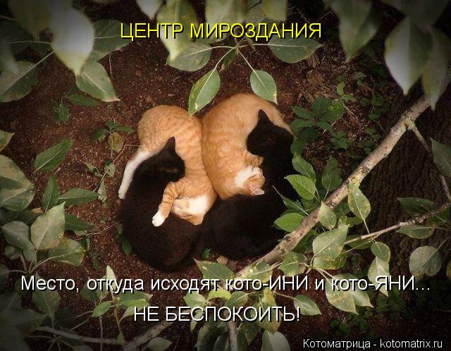 ЦЕНТР МИРОЗДАНИЯ НЕ БЕСПОКОИТЬ! Место, откуда исходят кото-ИНИ и кото-ЯНИ...... Котоматрица: ЦЕНТР МИРОЗДАНИЯ НЕ БЕСПОКОИТЬ! Место, откуда исходят кото-ИНИ и кото-ЯНИ...