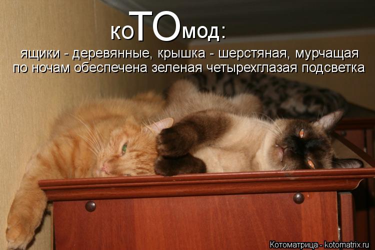 ко ТО мод: ящики - деревянные, крышка - шерстяная, мурчащая по ночам обеспечена зеленая четырехглазая... Котоматрица: ко ТО мод: ящики - деревянные, крышка - шерстяная, мурчащая по ночам обеспечена зеленая четырехглазая подсветка