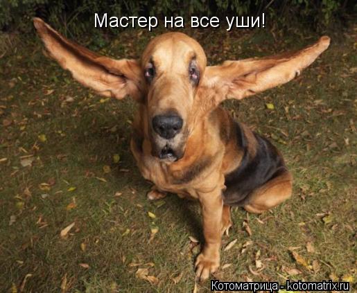 Мастер на все уши!... Котоматрица: Мастер на все уши!