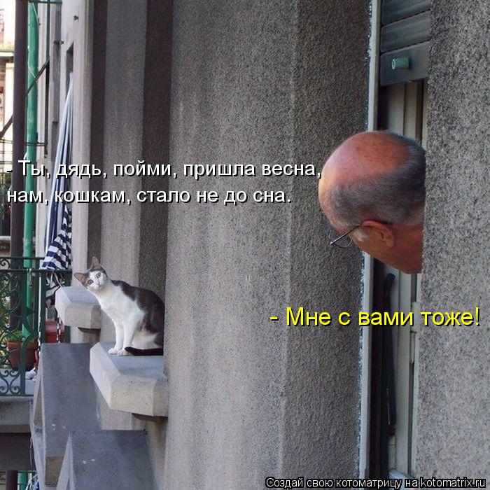 Котоматрица: - Ты, дядь, пойми, пришла весна, нам, кошкам, стало не до сна.   - Мне с вами тоже!