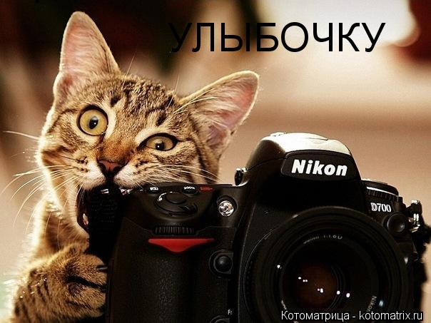 УЛЫБОЧКУ... Котоматрица: УЛЫБОЧКУ
