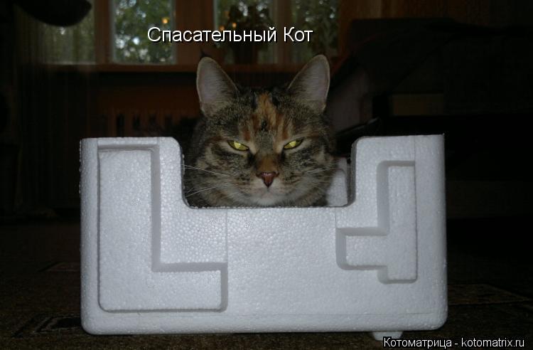 Спасательный Кот... Котоматрица: Спасательный Кот