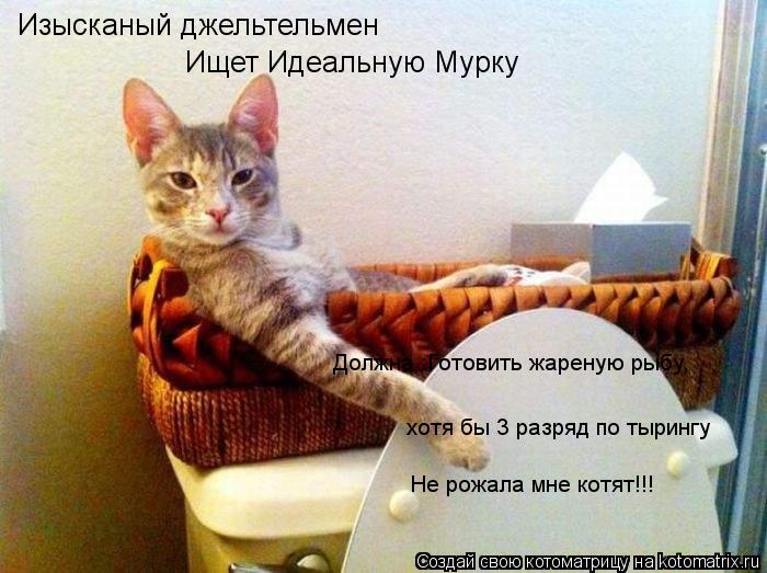Изысканый джельтельмен Ищет Идеальную Мурку Должна :Готовить жареную рыбу, хотя бы 3 разряд по тыри... Котоматрица: Изысканый джельтельмен Ищет Идеальную Мурку Должна :Готовить жареную рыбу, хотя бы 3 разряд по тырингу Не рожала мне котят!!!