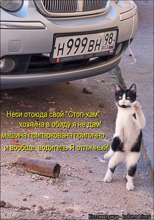 Неси отсюда свой "Стоп-хам" хозяина в обиду я не дам! машина припаркована прилично, и вообще, водител... Котоматрица: Неси отсюда свой "Стоп-хам" хозяина в обиду я не дам! машина припаркована прилично, и вообще, водитель Я отличный!