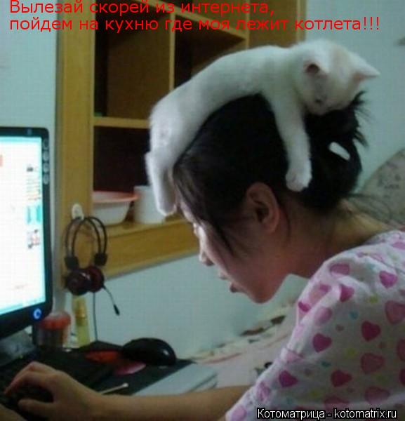 Вылезай скорей из интернета, пойдем на кухню где моя лежит котлета!!!... Котоматрица: Вылезай скорей из интернета, пойдем на кухню где моя лежит котлета!!!