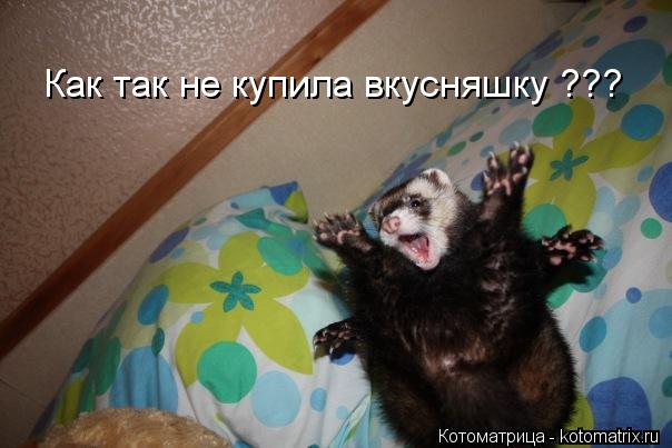 Как так не купила вкусняшку ???... Котоматрица: Как так не купила вкусняшку ???