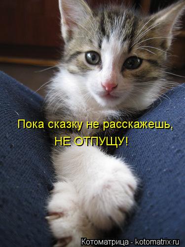 Пока сказку не расскажешь, НЕ ОТПУЩУ!... Котоматрица: Пока сказку не расскажешь, НЕ ОТПУЩУ!