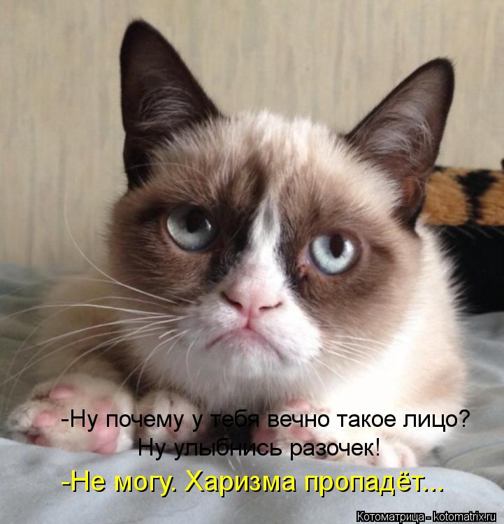Котоматрица: -Ну почему у тебя вечно такое лицо? Ну улыбнись разочек! -Не могу. Харизма пропадёт...
