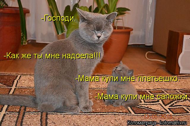 -Господи. -Как же ты мне надоела!!! Мама -Мама купи мне сапожки. -Мама купи мне платьешко.... Котоматрица: -Господи. -Как же ты мне надоела!!! Мама -Мама купи мне сапожки. -Мама купи мне платьешко.