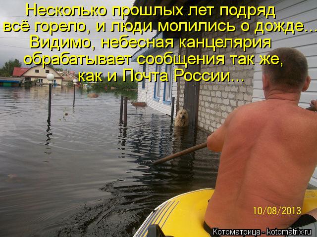 Несколько прошлых лет подряд всё горело, и люди молились о дожде... Видимо, небесная канцелярия обра... Котоматрица: Несколько прошлых лет подряд всё горело, и люди молились о дожде... Видимо, небесная канцелярия обрабатывает сообщения так же, как и Почта Р
