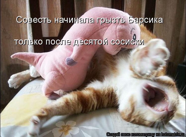 только после десятой сосиски Совесть начинала грызть Барсика... Котоматрица: только после десятой сосиски Совесть начинала грызть Барсика