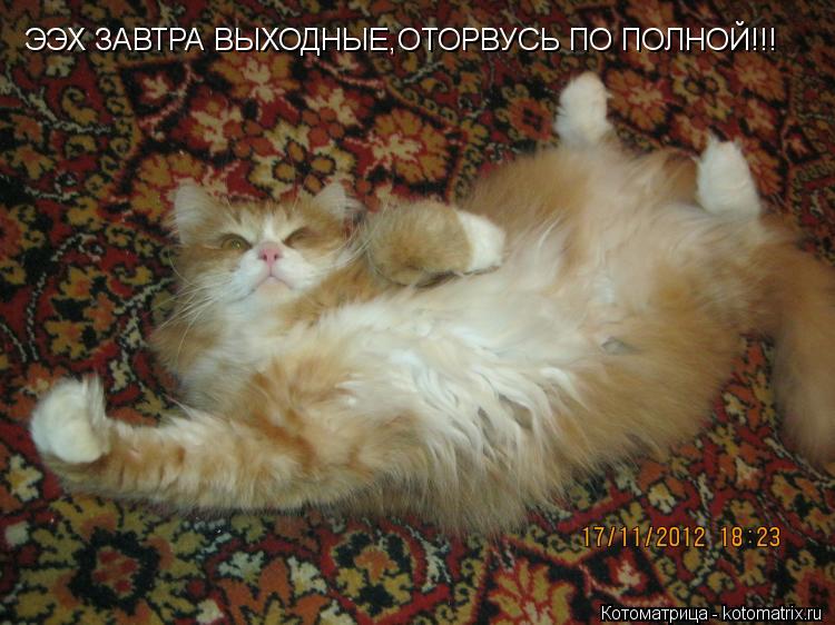ЭЭХ ЗАВТРА ВЫХОДНЫЕ,ОТОРВУСЬ ПО ПОЛНОЙ!!!... Котоматрица: ЭЭХ ЗАВТРА ВЫХОДНЫЕ,ОТОРВУСЬ ПО ПОЛНОЙ!!!